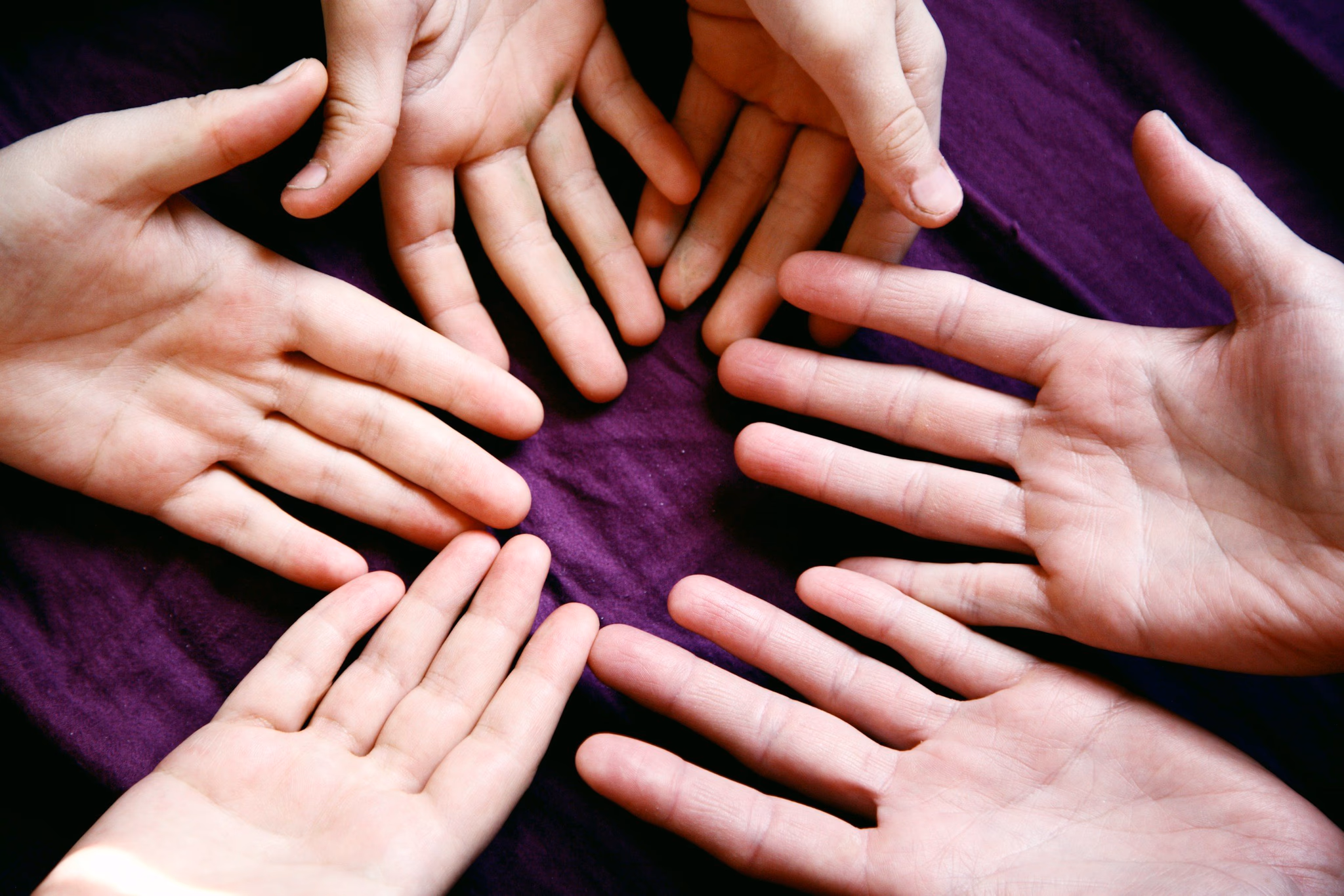 COMMUNITY AND JUSTICE ORGANIZATIONS