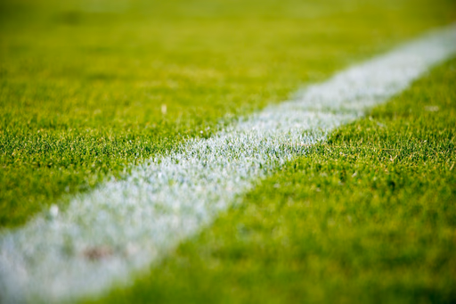 SPORTS TEAMS AND CLUBS